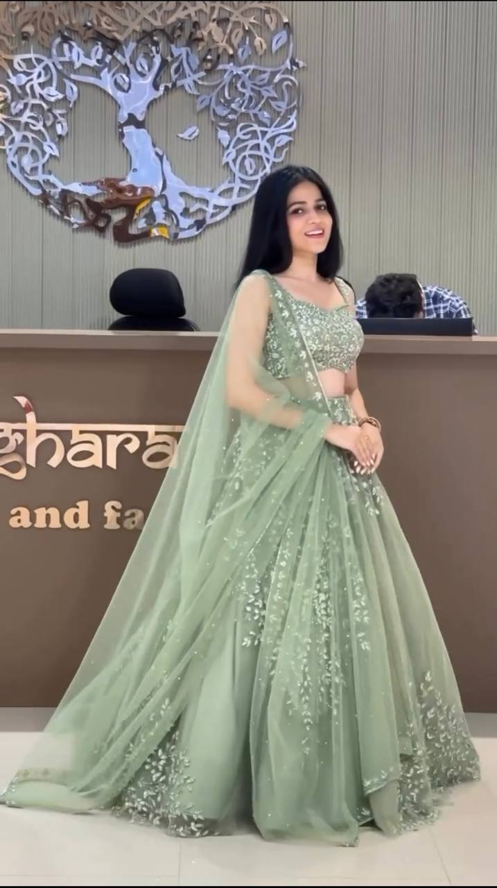 Celestial Sage Butterfly Net Lehenga Set