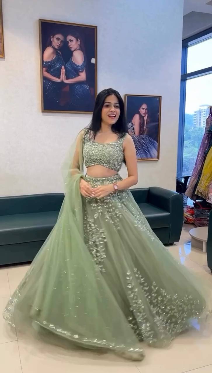 Celestial Sage Butterfly Net Lehenga Set